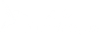 Logo Air Numérique